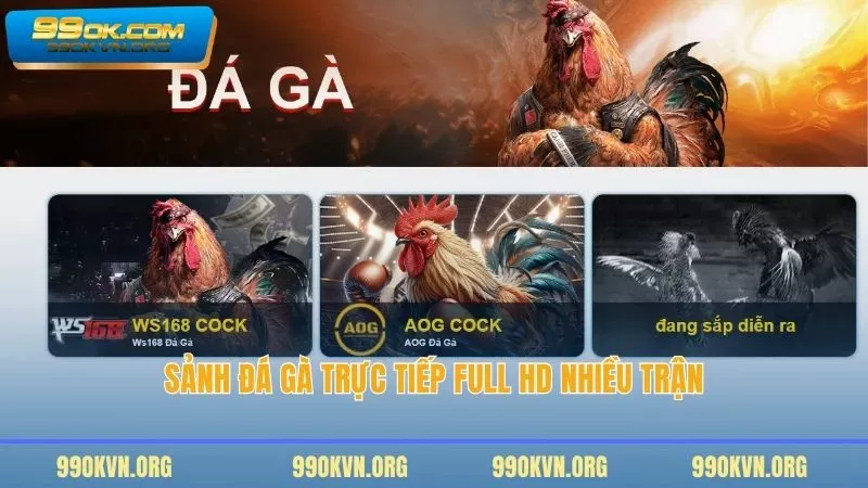Sảnh đá gà trực tiếp Full HD nhiều trận