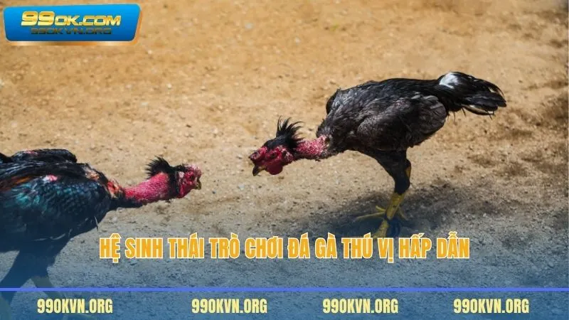 Hệ sinh thái trò chơi đá gà thú vị hấp dẫn