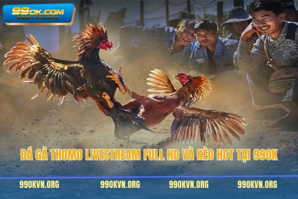 Đá Gà Thomo Livestream Full HD Và Kèo Hot Tại 99OK