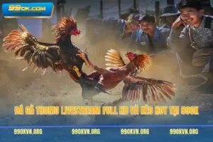 Đá Gà Thomo Livestream Full HD Và Kèo Hot Tại 99OK