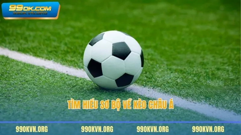 Tìm hiểu sơ bộ về kèo Châu Á